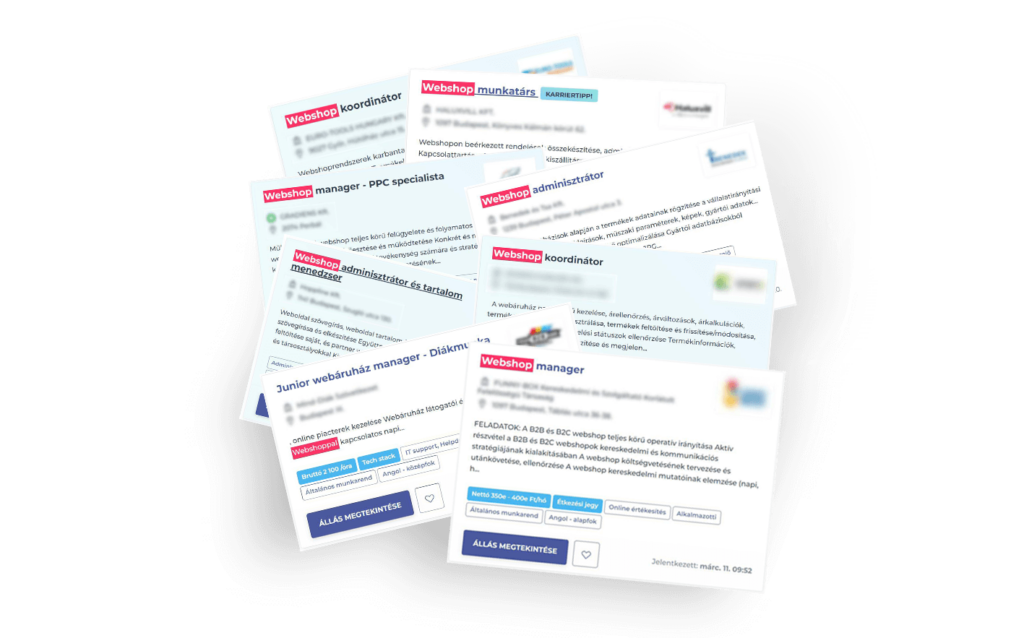 B2B webshop manager hirdetések