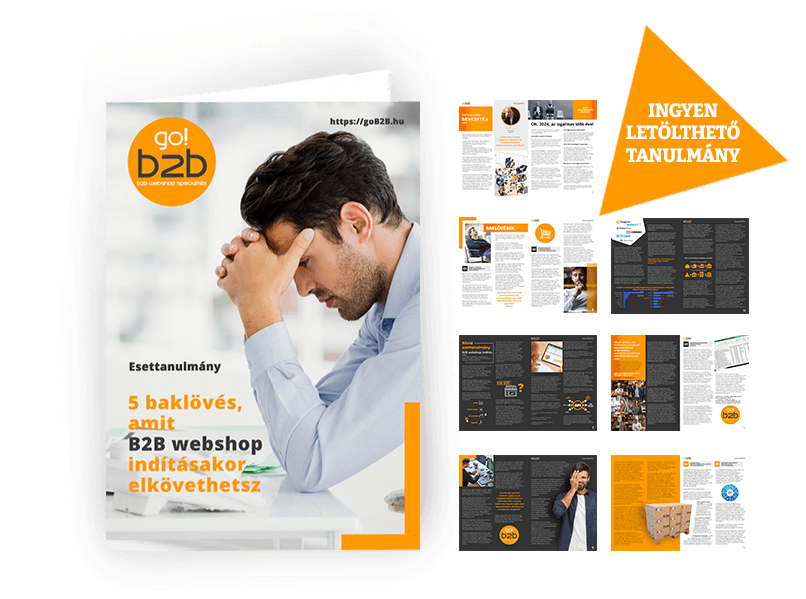 B2B webshop esettanulmány